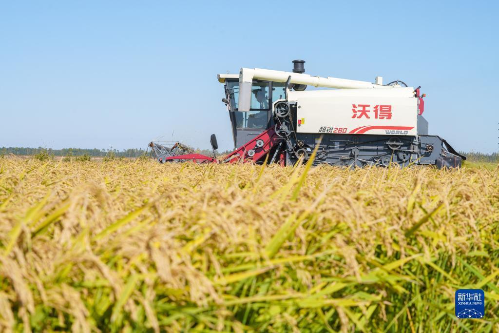 mg怎么下载